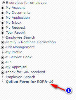online potion form of ropa 2019
