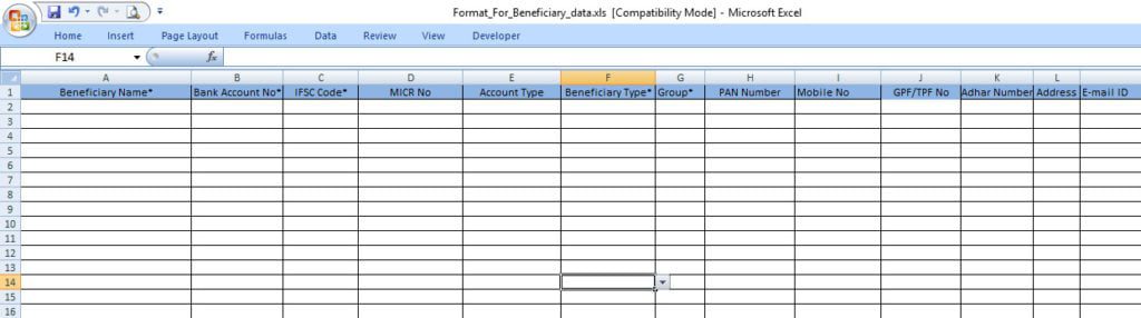 excel beneficiary data input