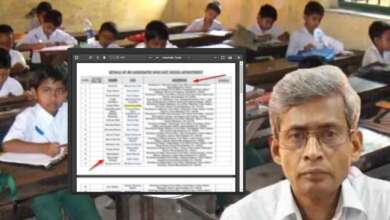 Primary Teacher Result Panel