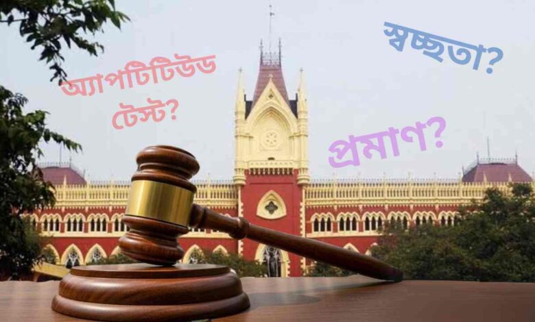 32000 Primary Teacher Case (2)