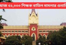 32000 Primary Teacher Case