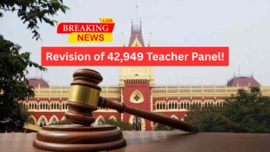 42949 Primary Teacher New Pannel Order En