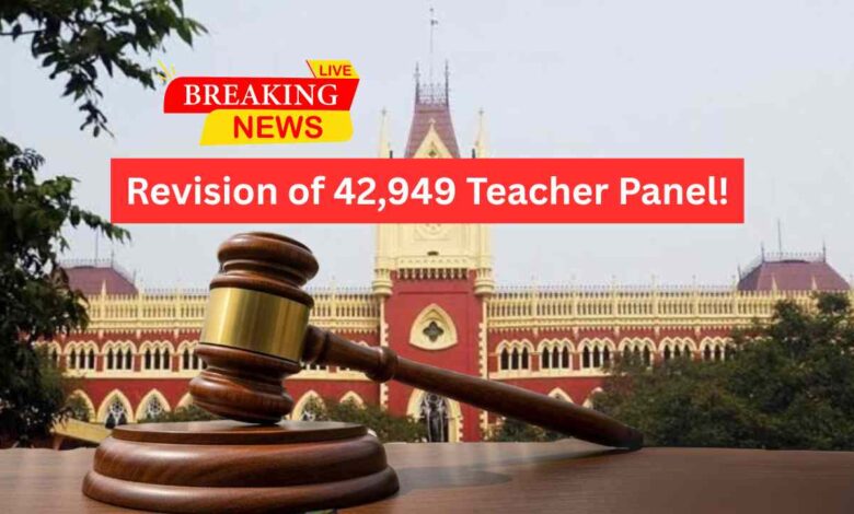42949 Primary Teacher New Pannel Order En