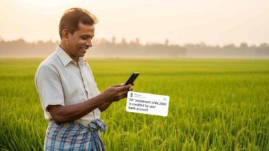 Pm Kisan 20th Installment