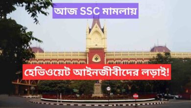 Calcutta High Court Wbssc Notification Case