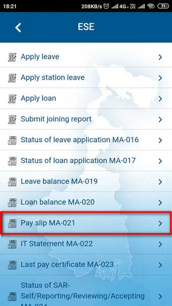 Pay Slip
