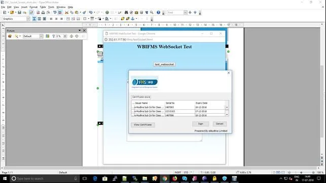 test_websocket