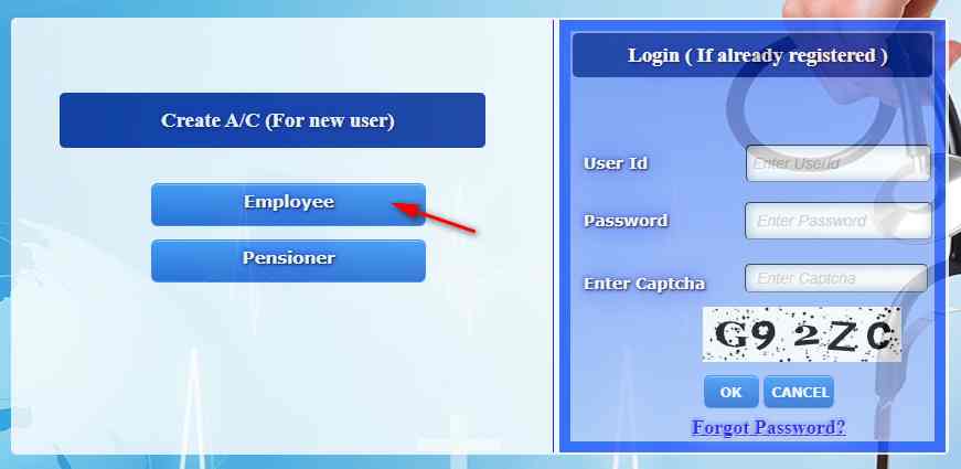 Click on employee option to create new account