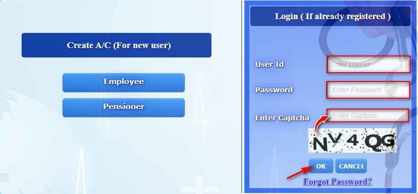 Employee and pensioner login