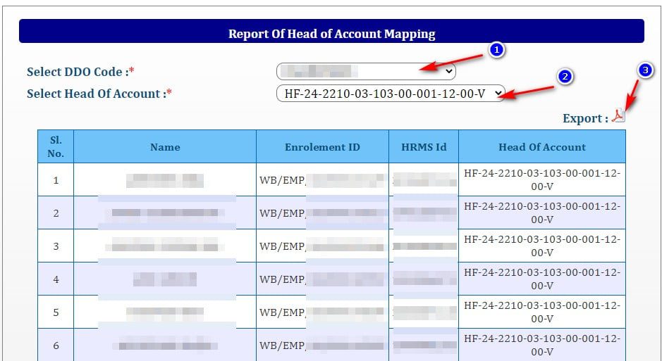 Report of Head of account mapping