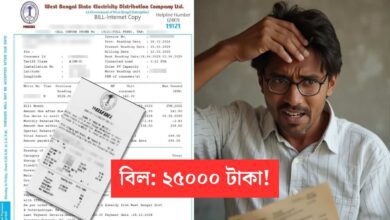 WBSEDCL High Electric Bill