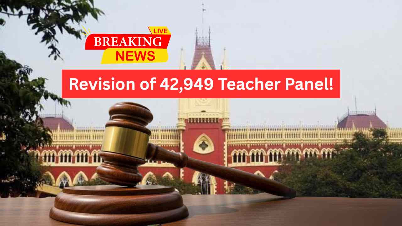 42949 Primary Teacher New Pannel Order En