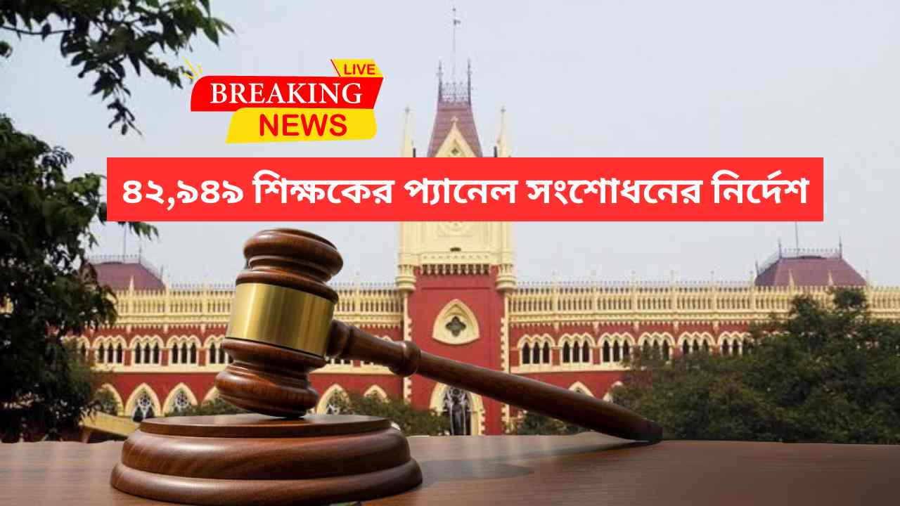 42949 Primary Teacher New Pannel Order