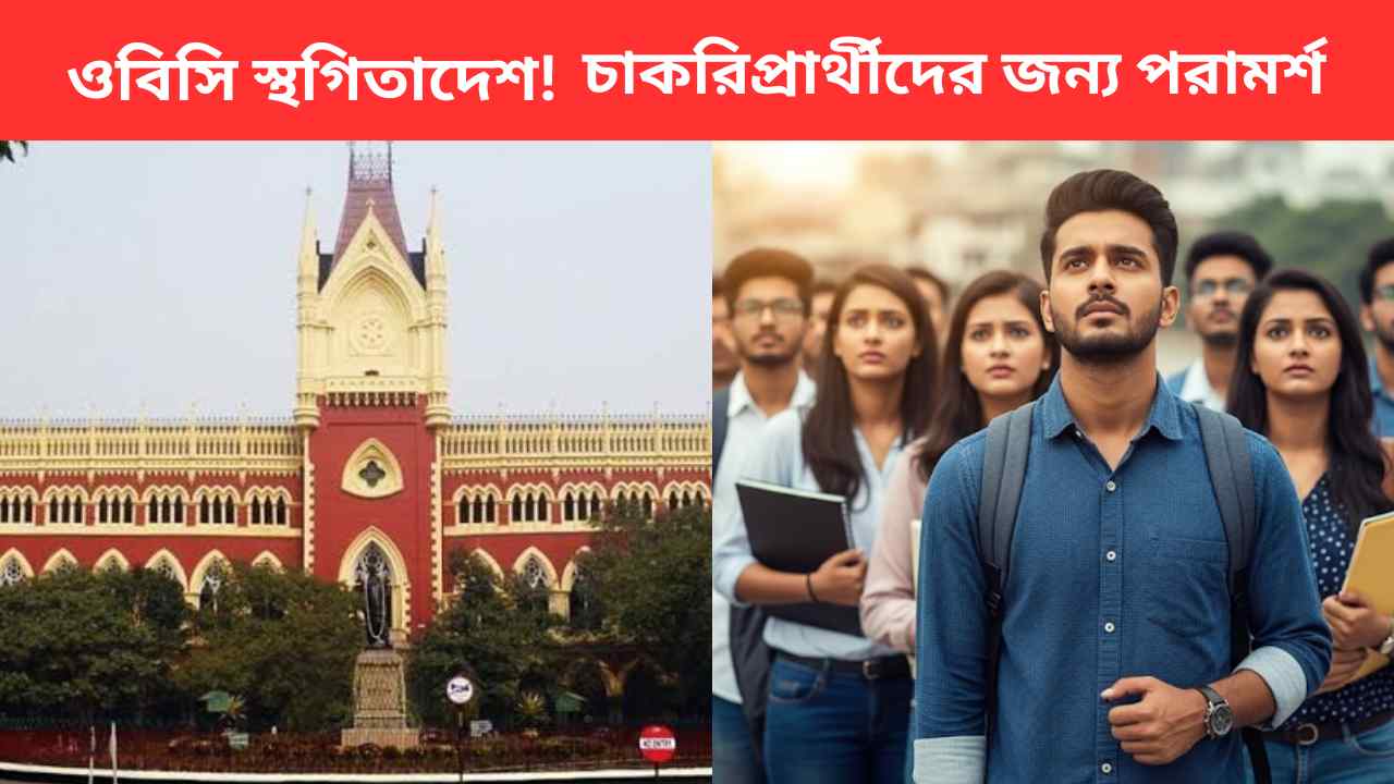 Obc Stay Order Advice For Job Aspirants