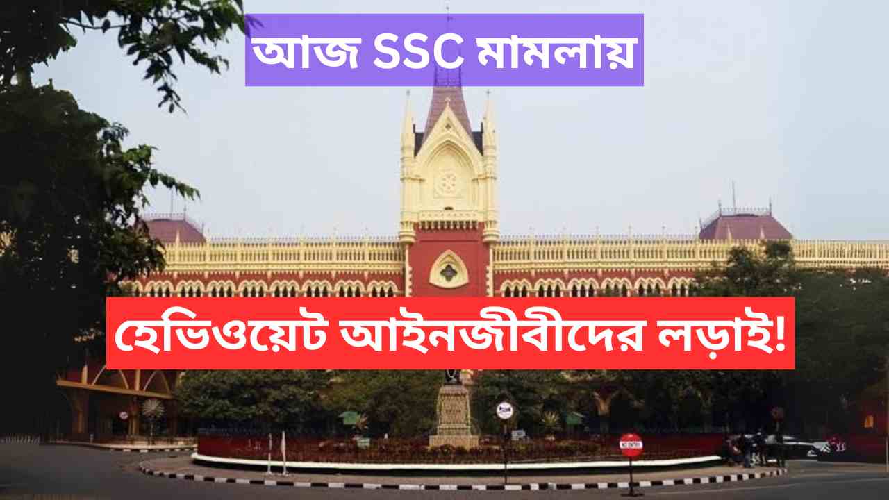 Calcutta High Court Wbssc Notification Case