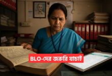 BLO Verification