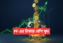 EPF Investment