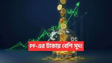 EPF Investment