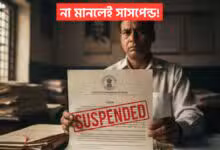 Election Commission BLO