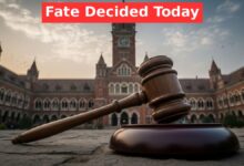 Primary Teacher Case