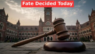 Primary Teacher Case