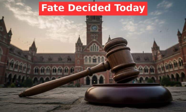 Primary Teacher Case