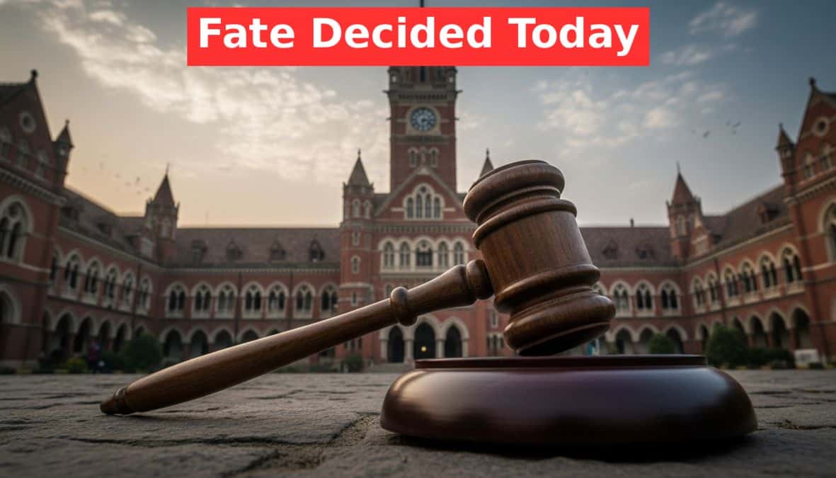 Primary Teacher Case