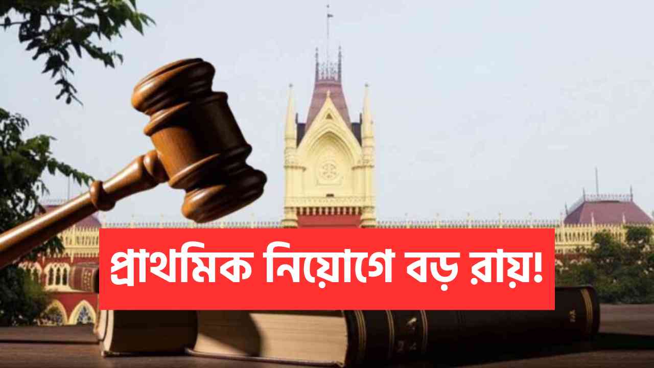 Primary Teacher Recruitment Big Verdict