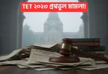 TET 2023 case
