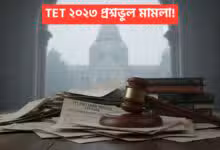 TET 2023 case