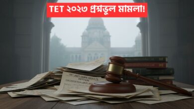 TET 2023 case