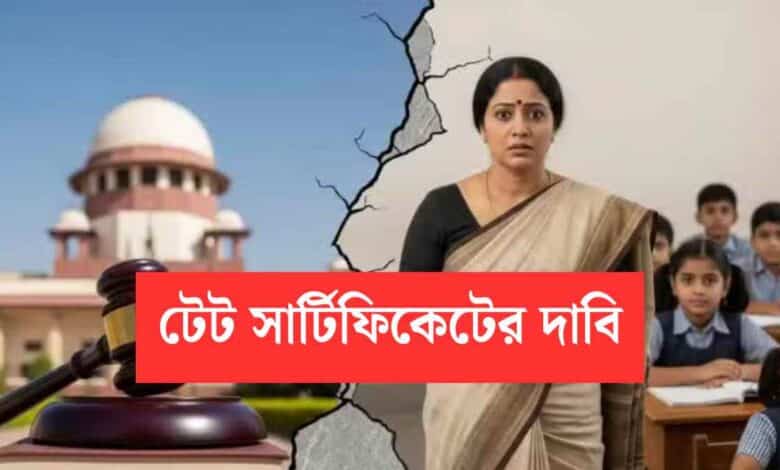 Tet Certificate Demand By Teachers