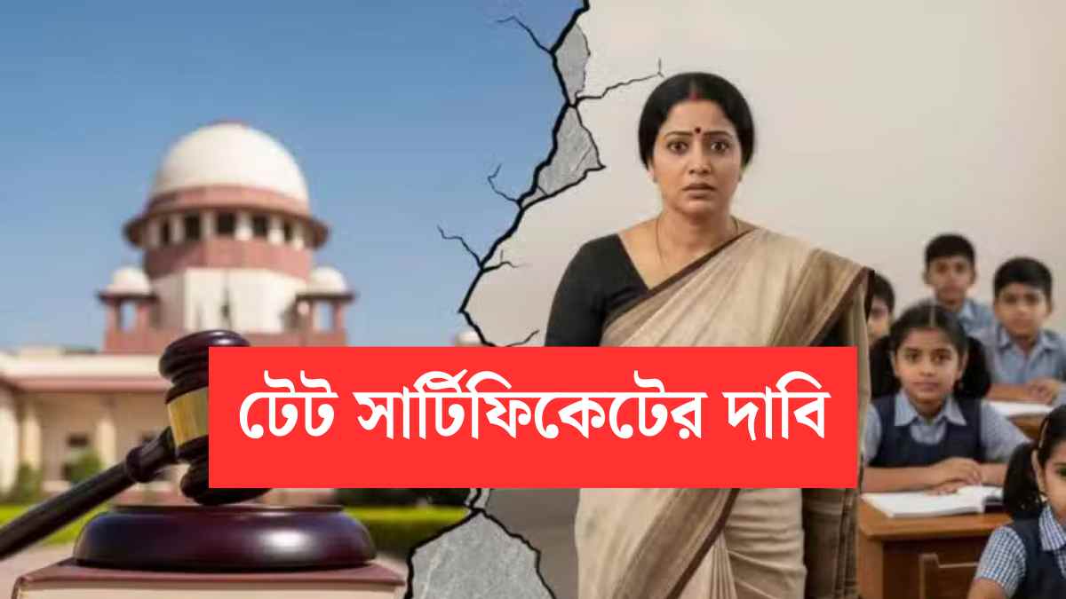 Tet Certificate Demand By Teachers