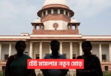 TET Review Petition