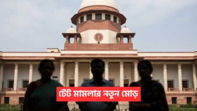 TET Review Petition