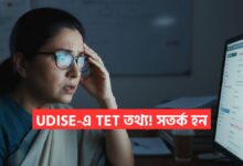 UDISE TET Update