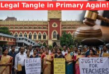 Primary Recruitment Case