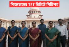 TET Review Petition