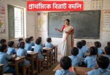 primary teacher transfer