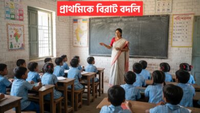 primary teacher transfer