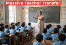 primary teacher transfer