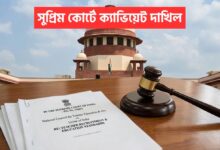 32000 Primary Teacher