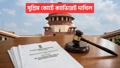 32000 Primary Teacher