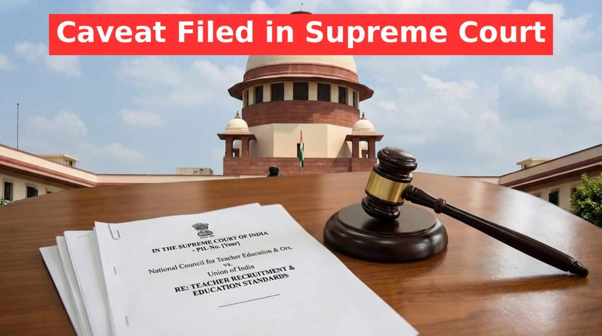 32000 Primary Teacher