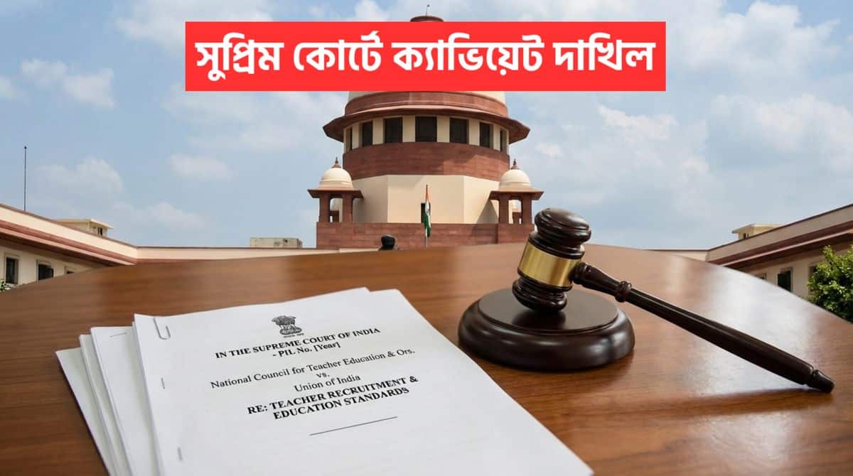 32000 Primary Teacher