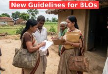 BLO Work Guidelines