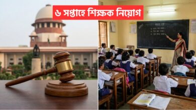 Primary Teacher Recruitment