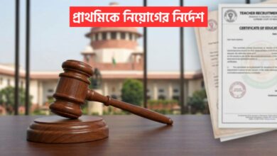 Primary Teacher Recruitment