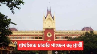 Primary Teacher Recruitment Calcutta High Court 20251223 143822 0000