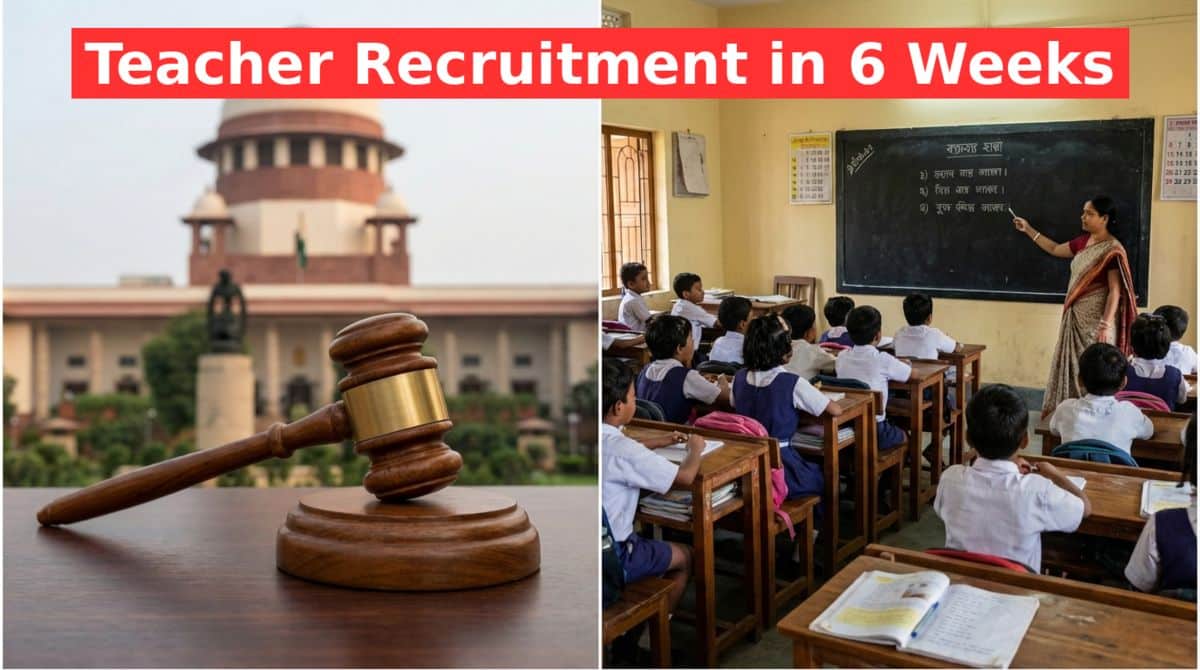 Primary Teacher Recruitment